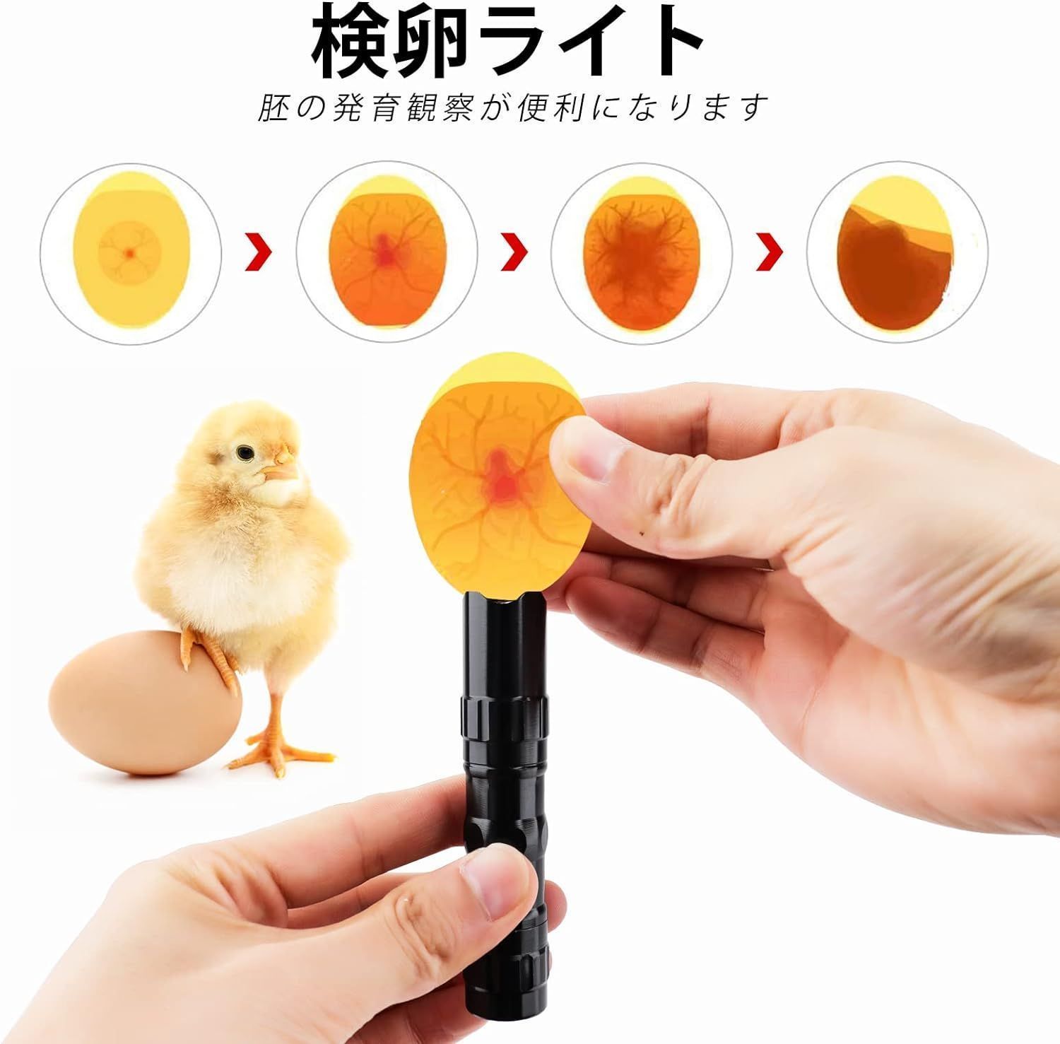恒温器