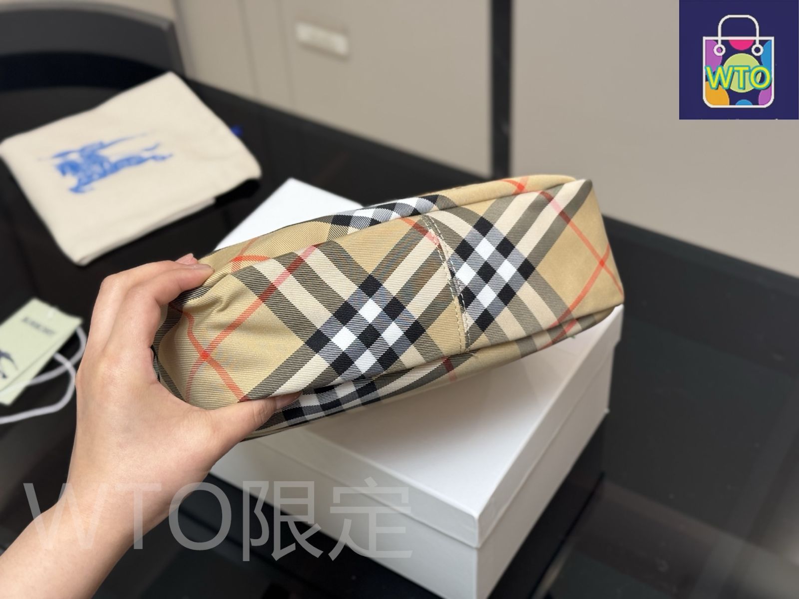 今日WTO】Burberry バーバリー 新作カメラバッグ ケース付き