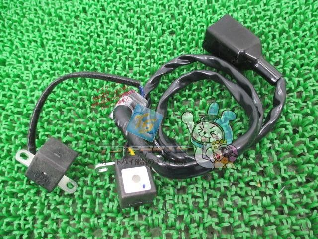GPZ900R パルシングコイル カワサキ 純正 バイク 部品 エリミネーター250 1000GTR コンコース 在庫有り 可 lQ