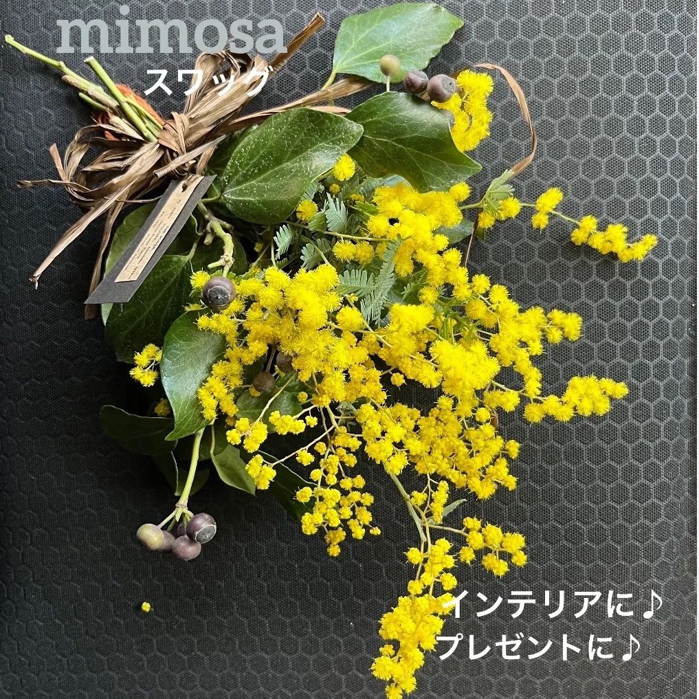 SOLD＊フレッシュ ミモザ スワッグ＊Spring swag ドライ フラワー ミニ