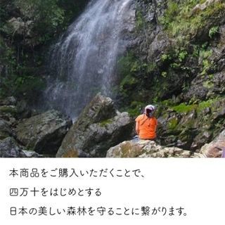 四万十ヒノキの大きなベンチボックス 前面スリット有りモデル