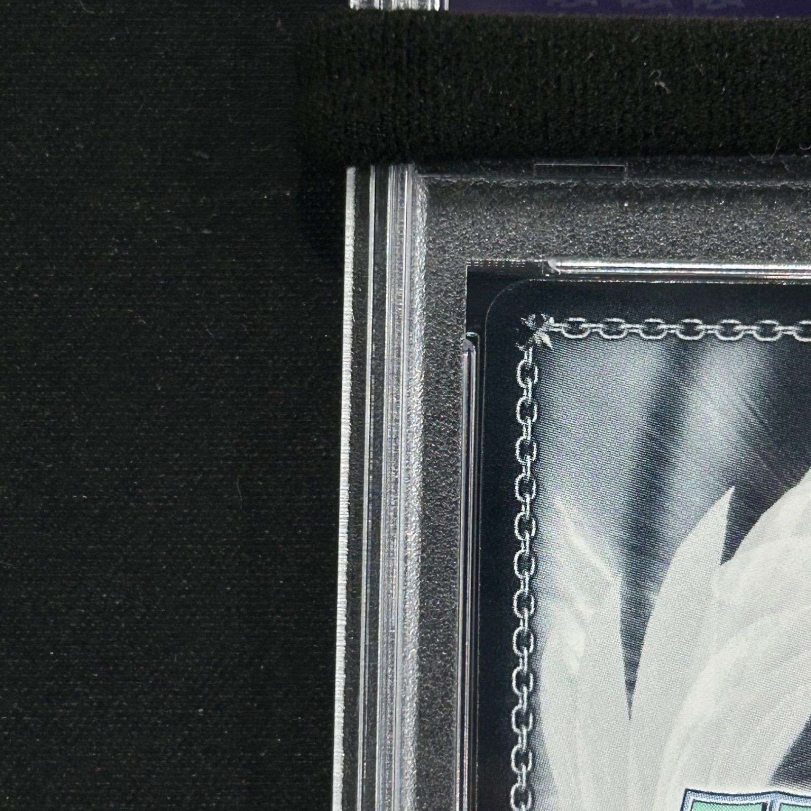 WS PSA10
