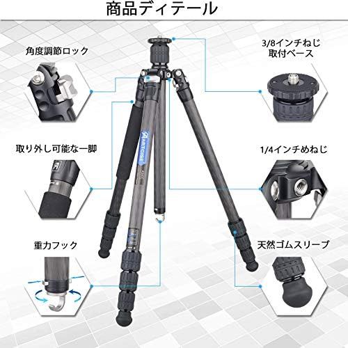 キャリングバッグ付