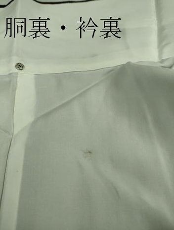 平和屋着物●本場結城紬　重要無形文化財　80亀甲　色紙文　高島屋扱い　正絹　逸品　AABG4797fy 亀甲 本場結城紬 女性着物 | 通販・人気ランキング - 価格.com