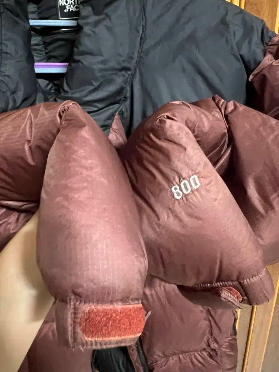 NORTH FACE