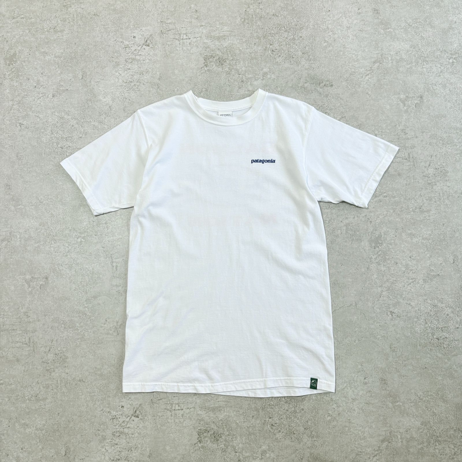 激レア00sパタゴニア サーモンネイションベネフィシャルTシャツオーガニック古着 patagonia Organic Cotton SALMON NATION Back Printed T-shirt