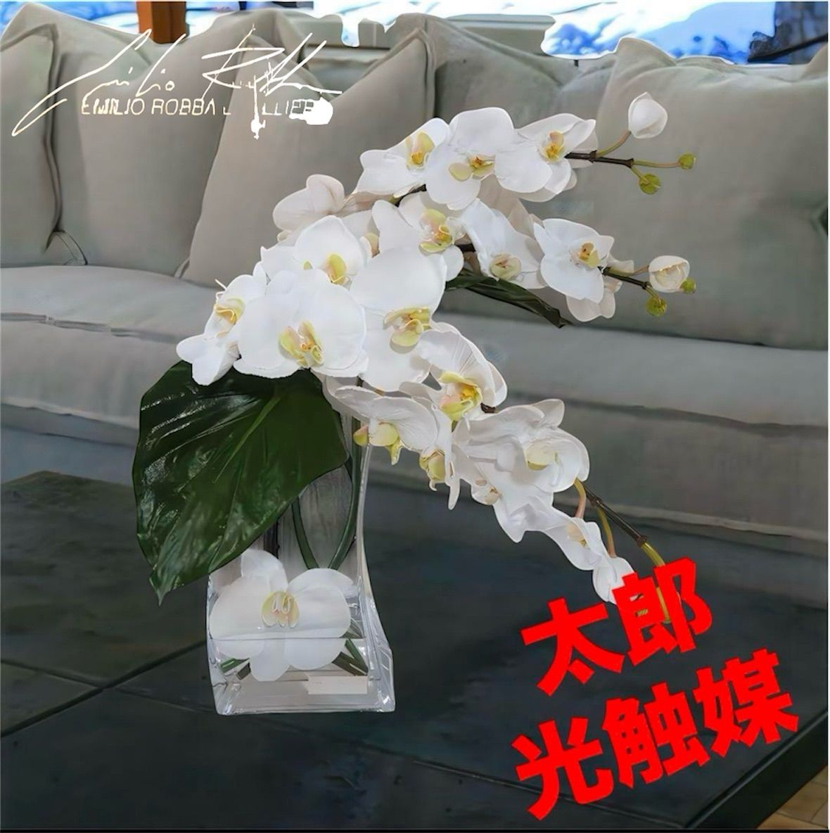 光触媒 人工観葉植物 フェイクグリーン エミリオロバ 胡蝶蘭 ファレノプシス4L