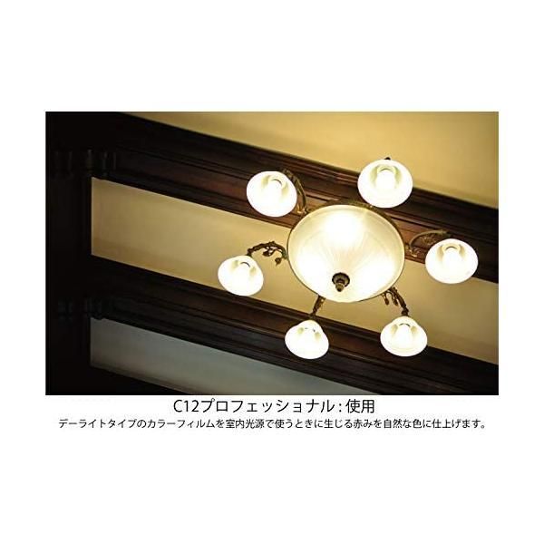 即配 82mm W10 PROFESSIONAL プロフェッショナル ケンコートキナー KENKO TOKINA 撮影用フィルター アウトレット ネコポス便 即配 82mm W10 PROFESSIONAL プロフェッショナル ケンコートキナー