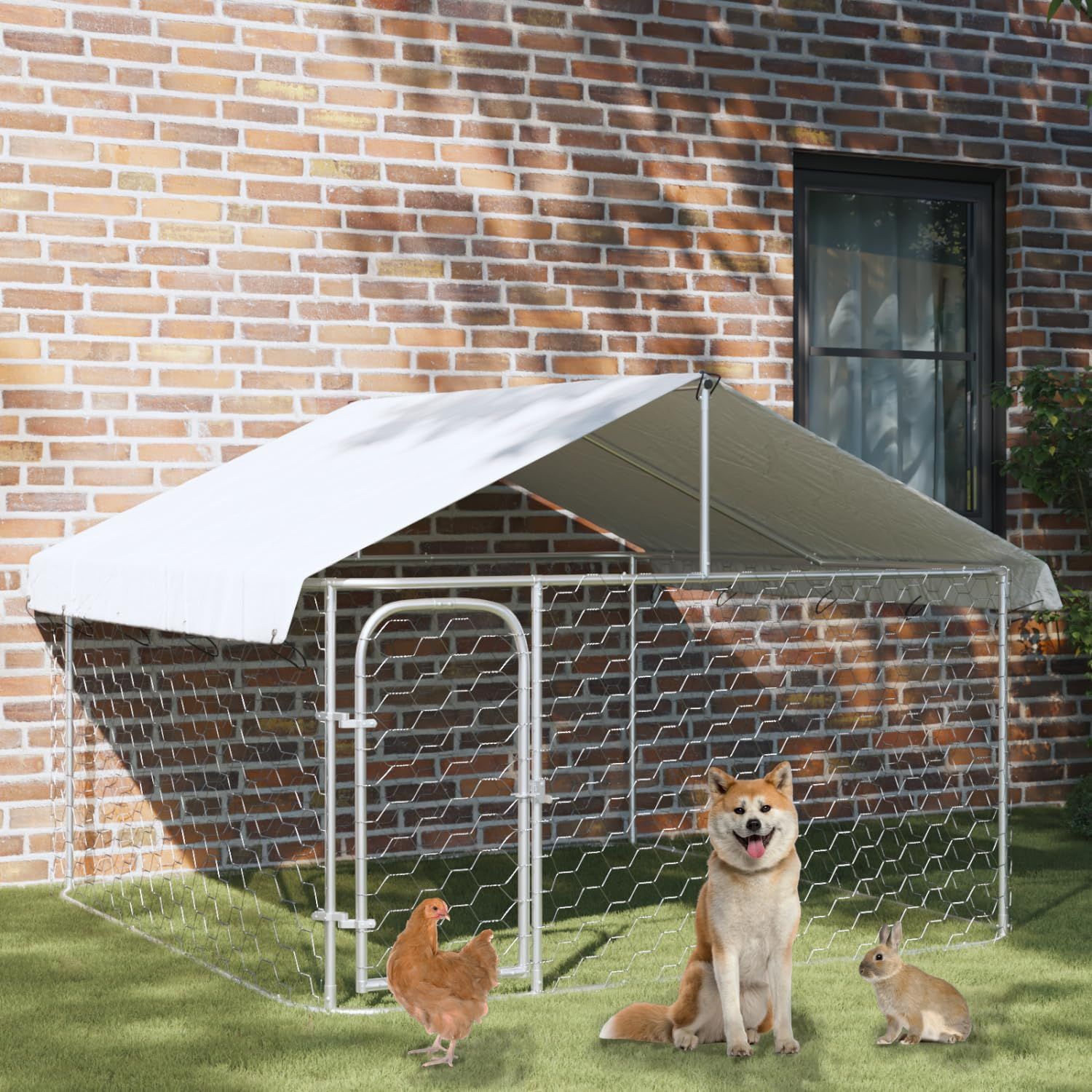 大型犬用 犬小屋