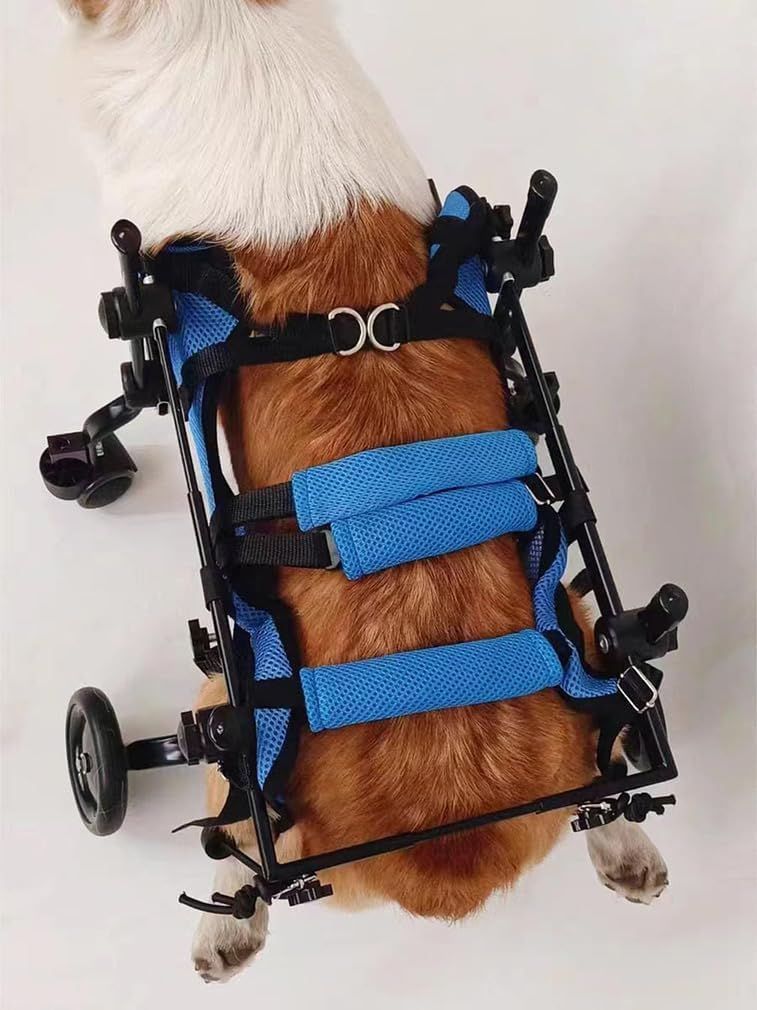 犬用