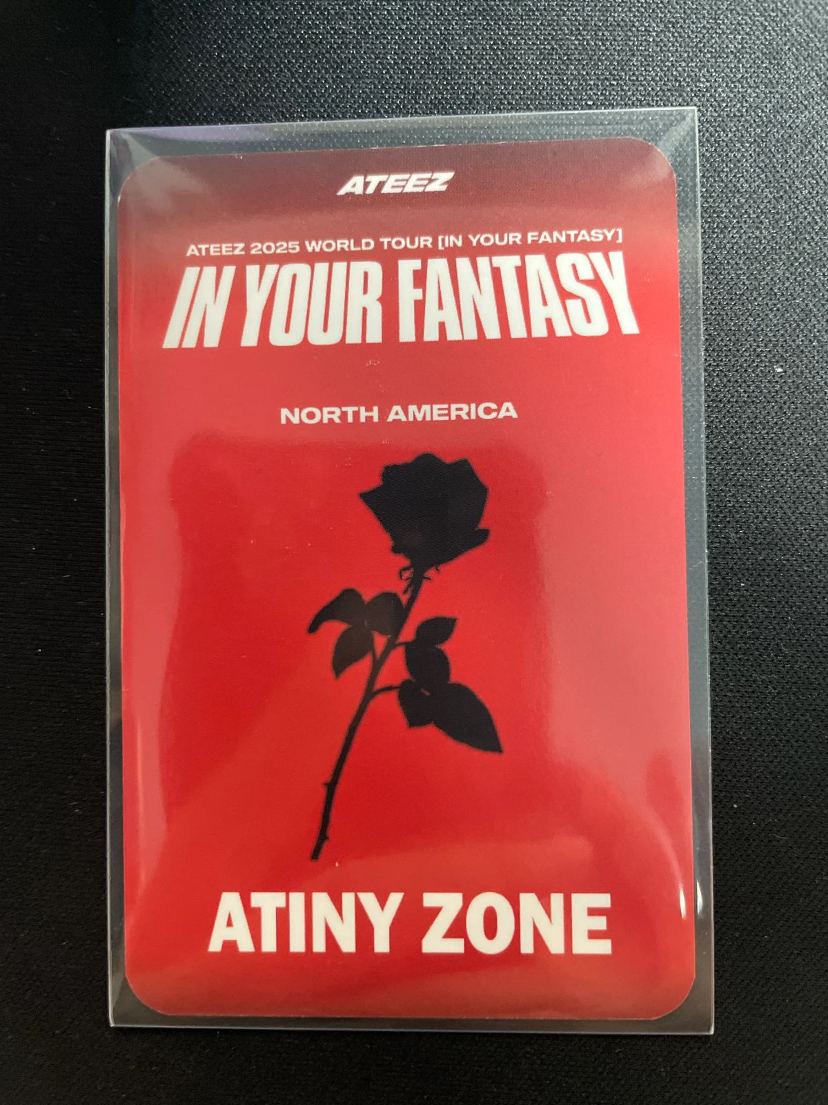 ATEEZ ホンジュン ATEEZ 2025 WORLD TOUR IN YOUR FANTASY IN NORTH AMERICA ATINY エイティニー ZONE