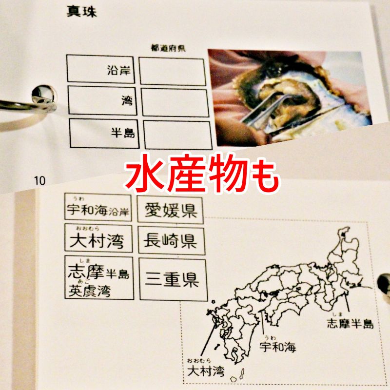 ぱんだ様　中学受験　暗記カード 地理データバンク 一次産業 暗記カード 中学受験 中学入試 予習