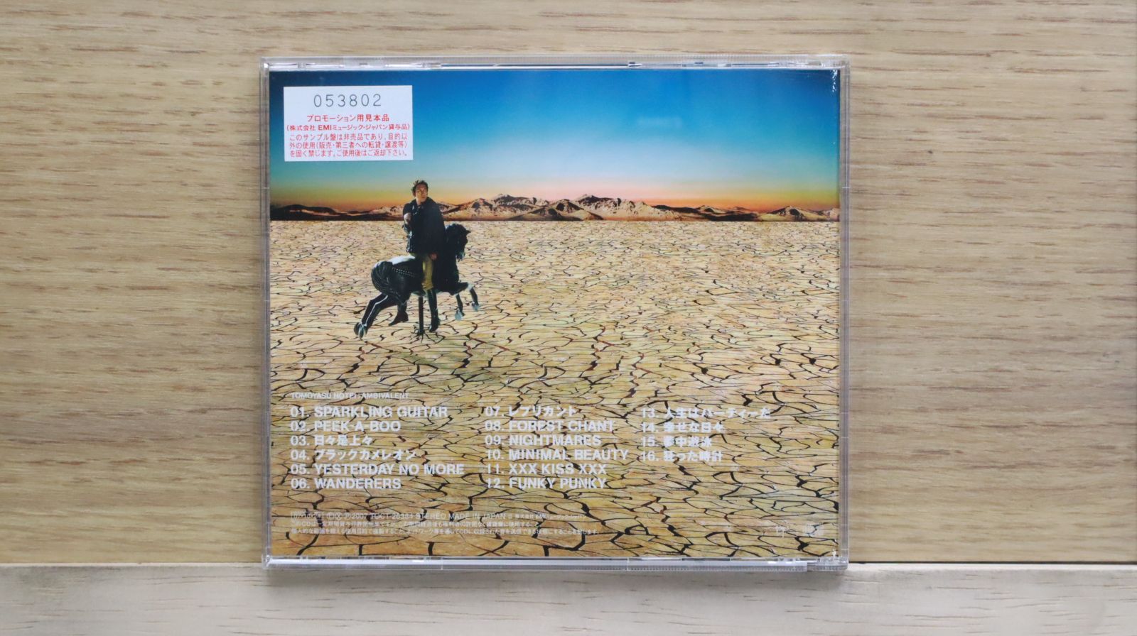 国内盤CD☆布袋寅泰/Tomoyasu Hotei□ AMBIVALENT - 布袋寅泰