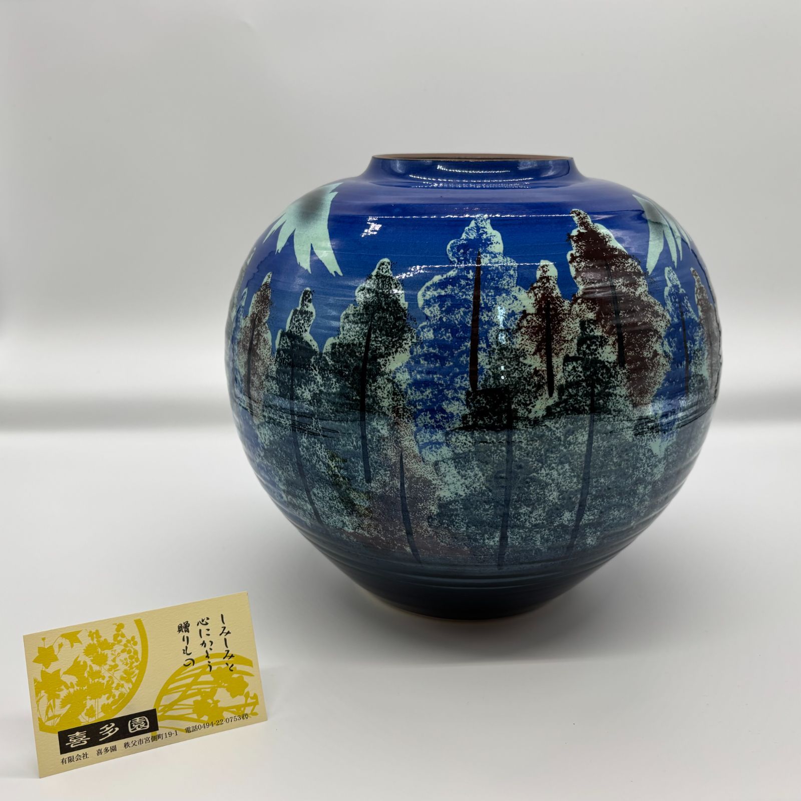 銀菜壺 銀菜壺 tb18a 蔵六写 菊形鉄瓶 摘み・座 銀彩 虫食