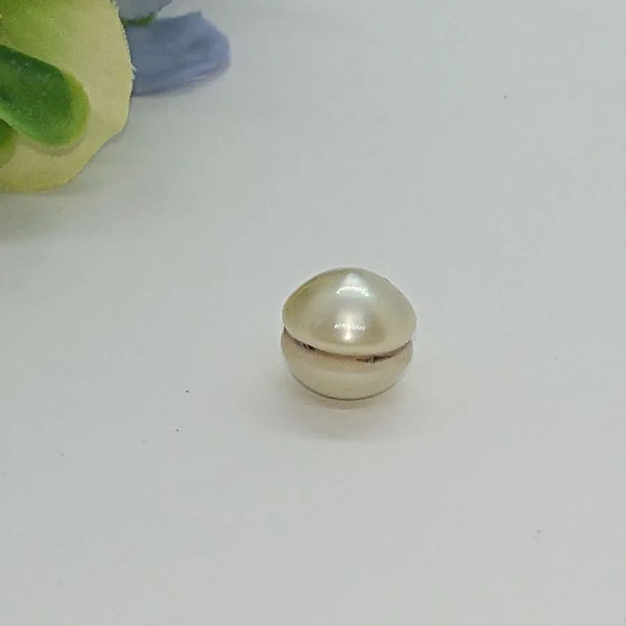 アコヤ真珠 ハンバーガー③