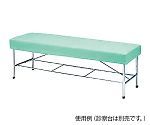 2営業日で発送 アズワン 診察台カバー グリーン 700×1800mm用 C-700G 1枚