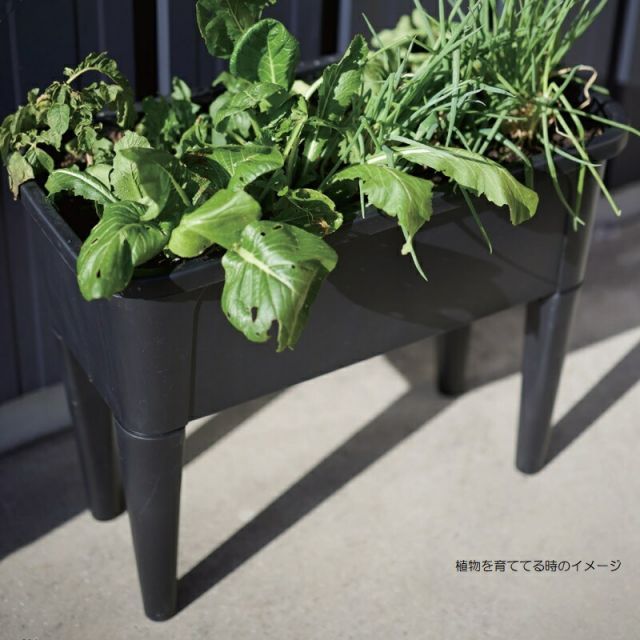 レイズドベッドプランター