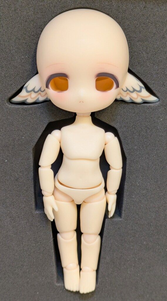 PICCODO PICCODO×白匣アリス