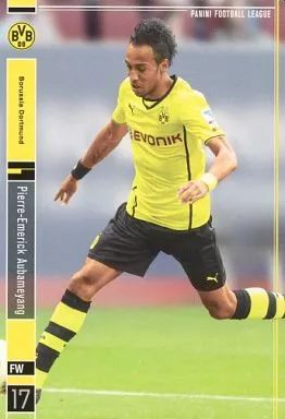 パニーニ PFL Amazon.co.jp: 【パニーニフットボールリーグ】 STAR +