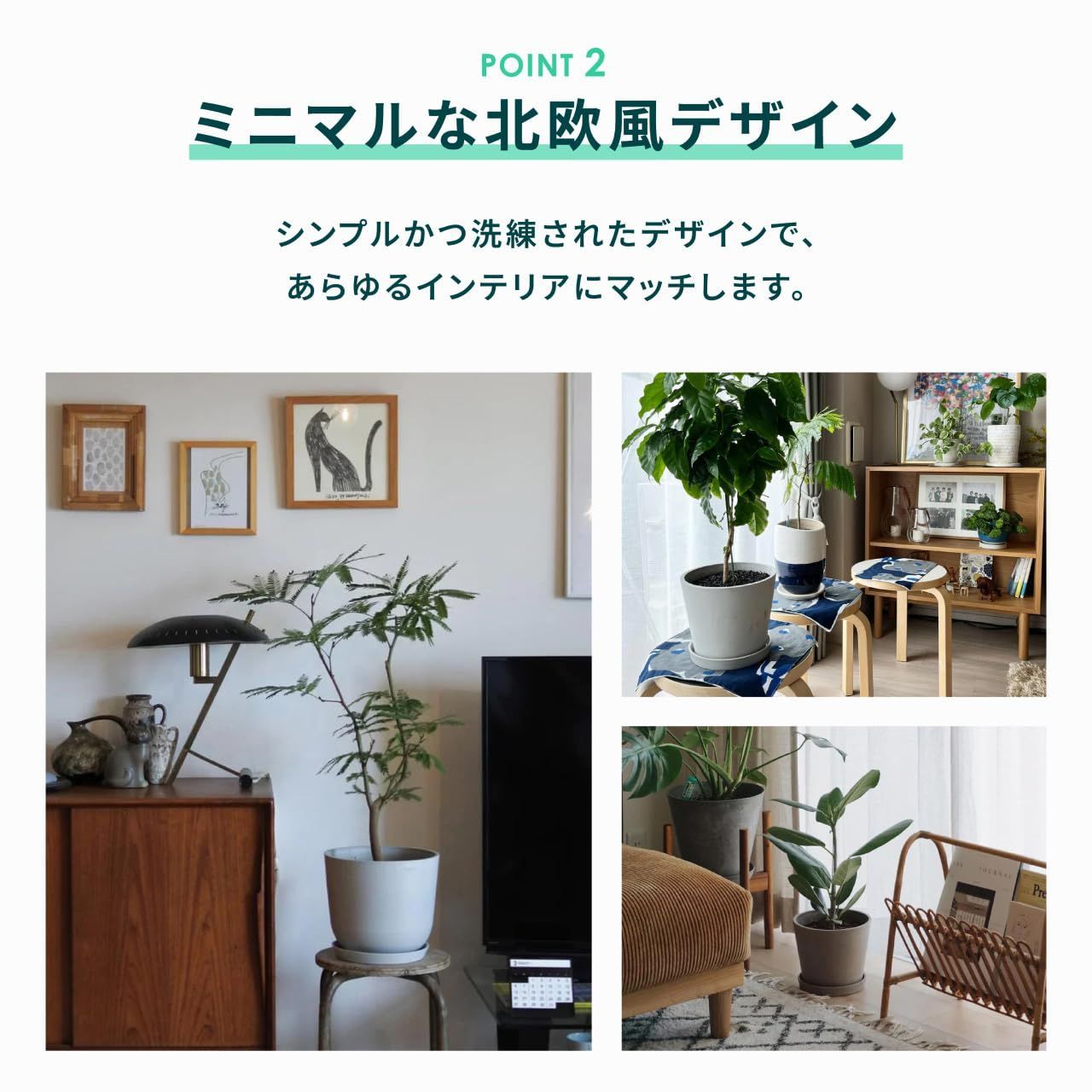 アンドプランツ ECOPOTS