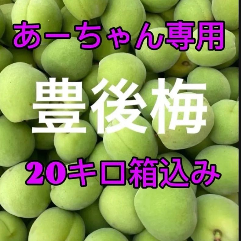 あーちゃん Lサイズ~ 20キロ箱込み