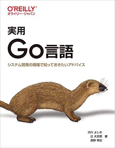 実用 Go言語 ―システム開発の現場で知っておきたいアドバイス - メルカリ