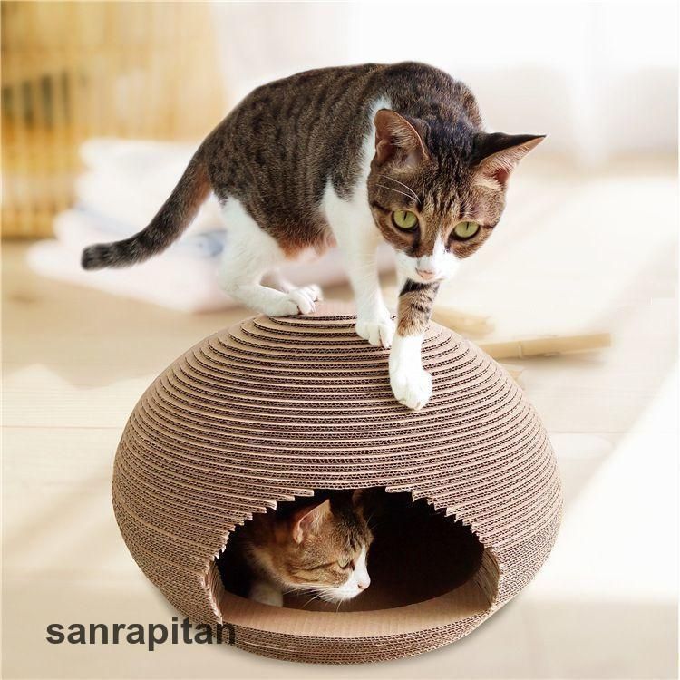 ハウス