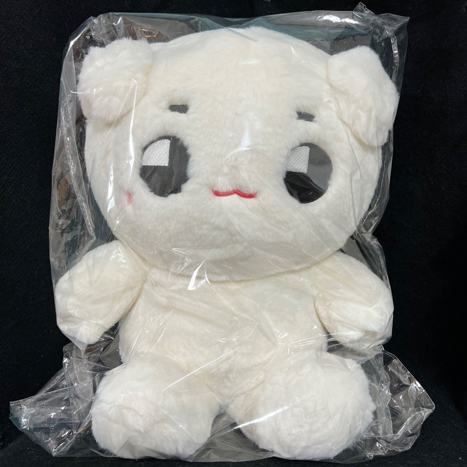 テヨン　ぬいぐるみ　40cm 新品　big tyongya ビッグテョンヤ　nct dream