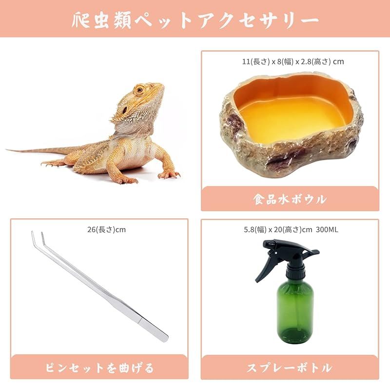 Reptile Growth 爬虫類 ケージ 透明 爬虫類ケージ 飼育容器 小動物用 カメ亀 タンク 両生類用飼育ケース 飼育ボックス  31*19*24cm, カメ、クモ、カエル、ゲッコ、カマキリ、ヘビ、サソリ、庵クラブ - メルカリ