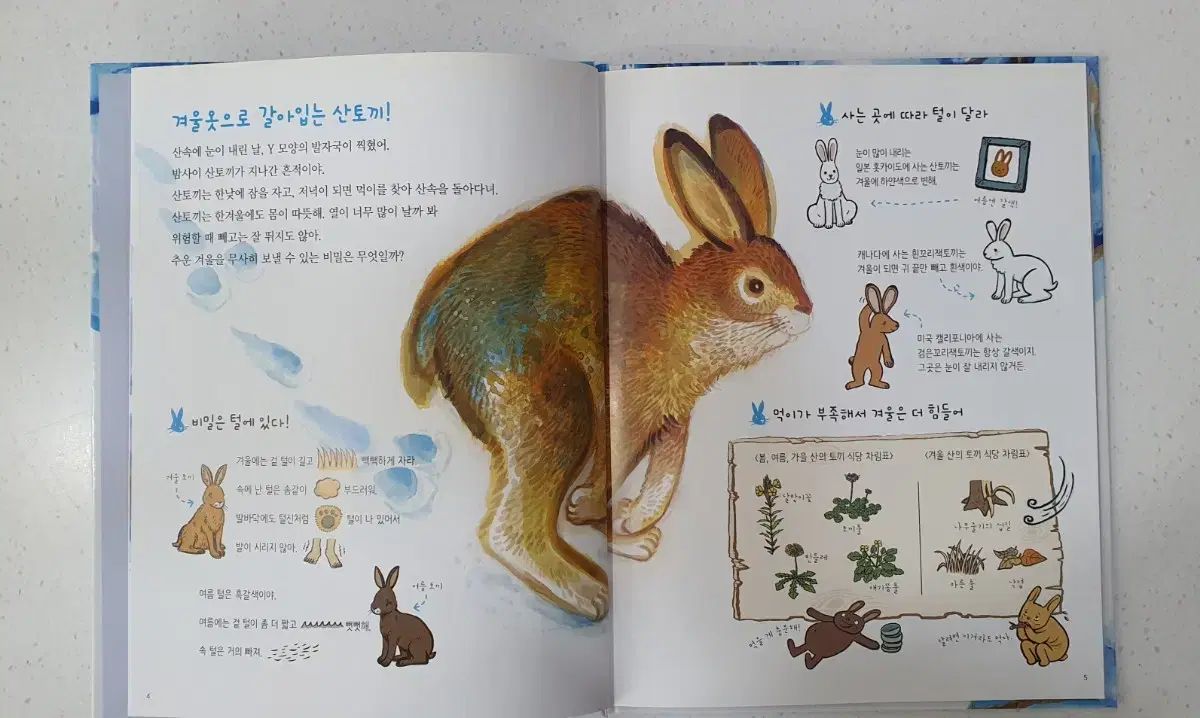 Woongjin原理が見える科学