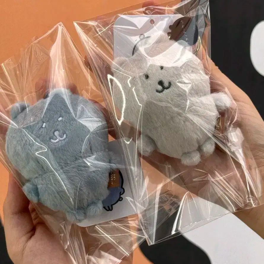 韓国限定 カラーなナガノのくま バニラ ブルーグレー クールグレー セット 韓国限定 カラーなナガノのくま バニラ ブルーグレー クールグレー