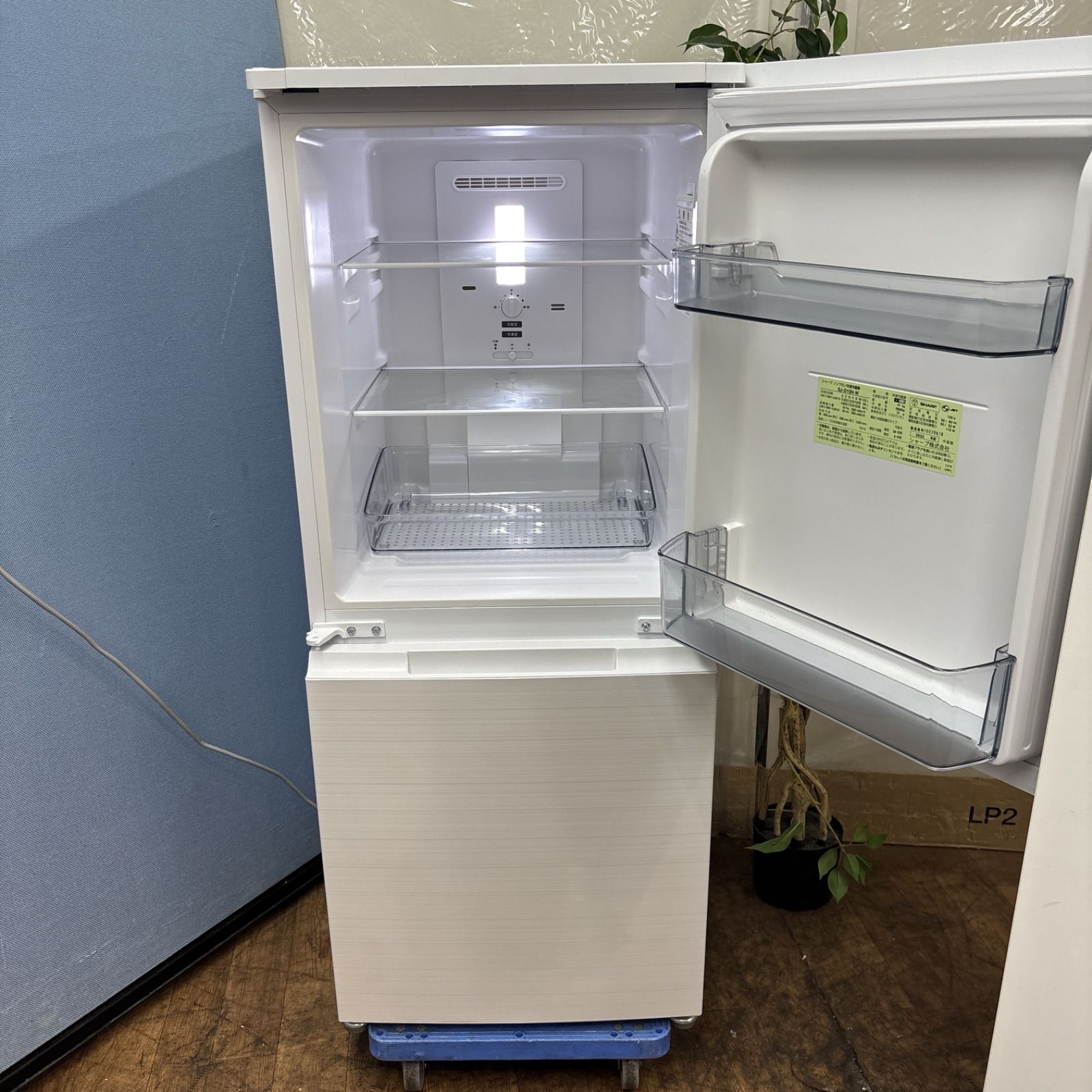 シャープ 2022年製 152L 冷蔵庫 一人暮らし 小型　B08055 SHARP 152L 2ドア冷凍・冷蔵庫 152L SHARP / シャープのレンタル