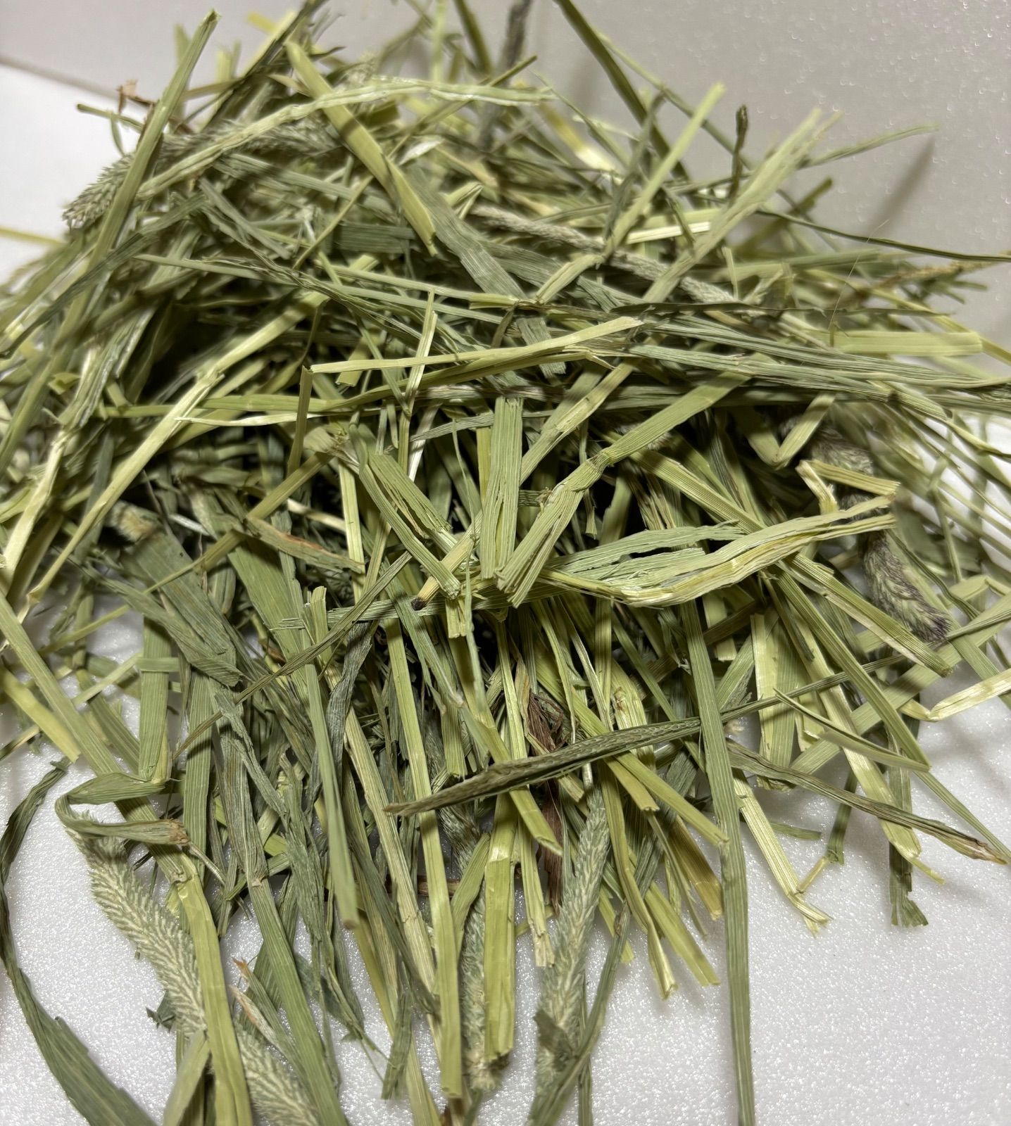 any grassオリジナルチモシー super premium 10kg 圧縮 無選別 - メルカリ