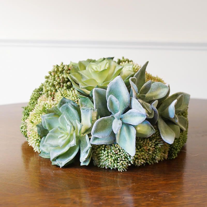 ハートカズラ 6.7.8 ハートカズラ