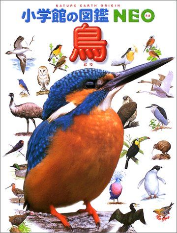 Q64小学館の図鑑NEO 8冊　動物　乗りもの　鳥　絵本 セット まとめ売り 小学館の図鑑NEO 恐竜 乗りもの 鳥 星 生活 付録 絵本 セット