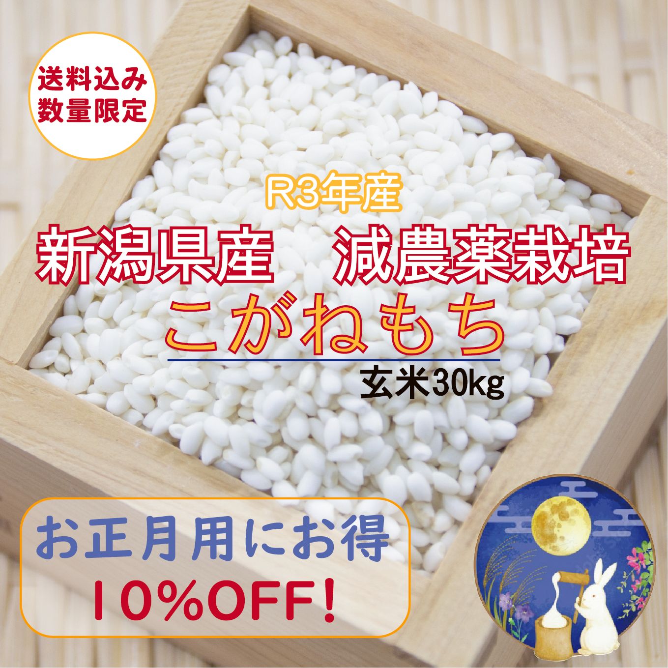 もち米 こがねもち 新潟県産 20ｋｇ（5ｋｇ×4）令和5年産 - もち米