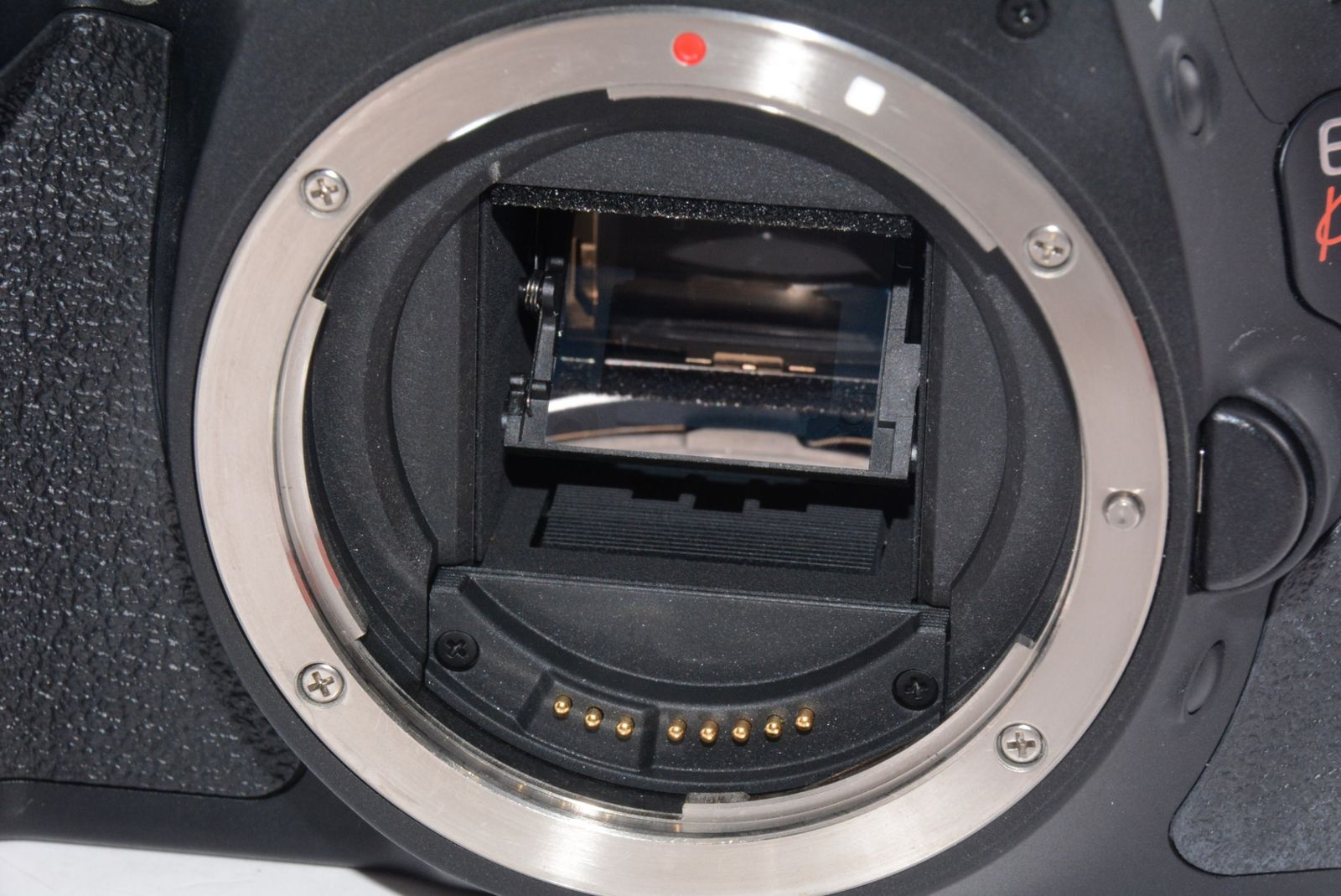 一眼レフカメラ