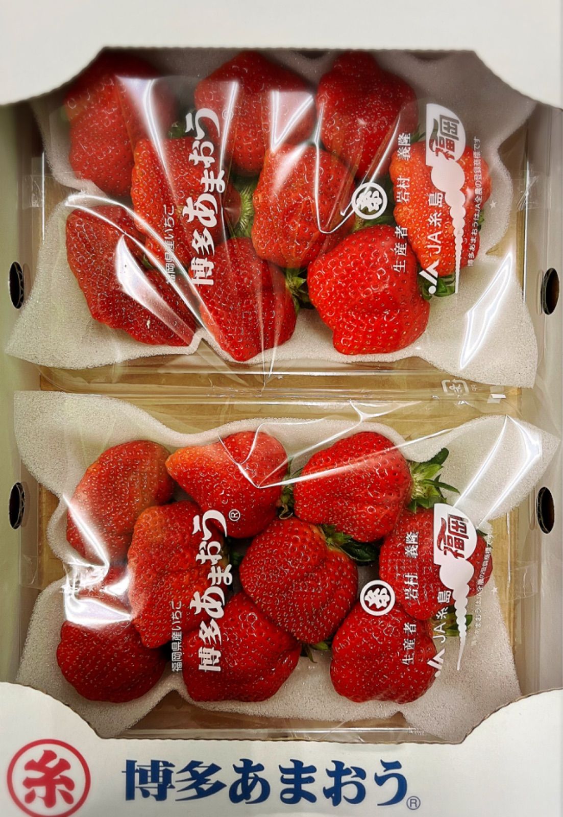 【数量限定】冷凍　福岡県産　完熟博多あまおうのみ　約10kg あまおうちゃん