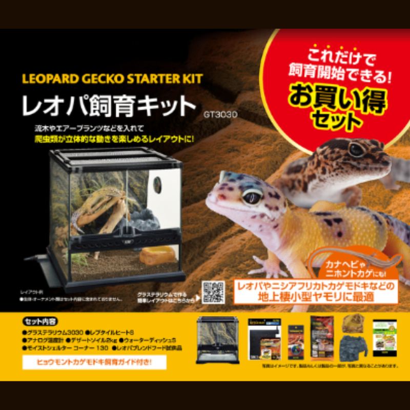爬虫類 両生類