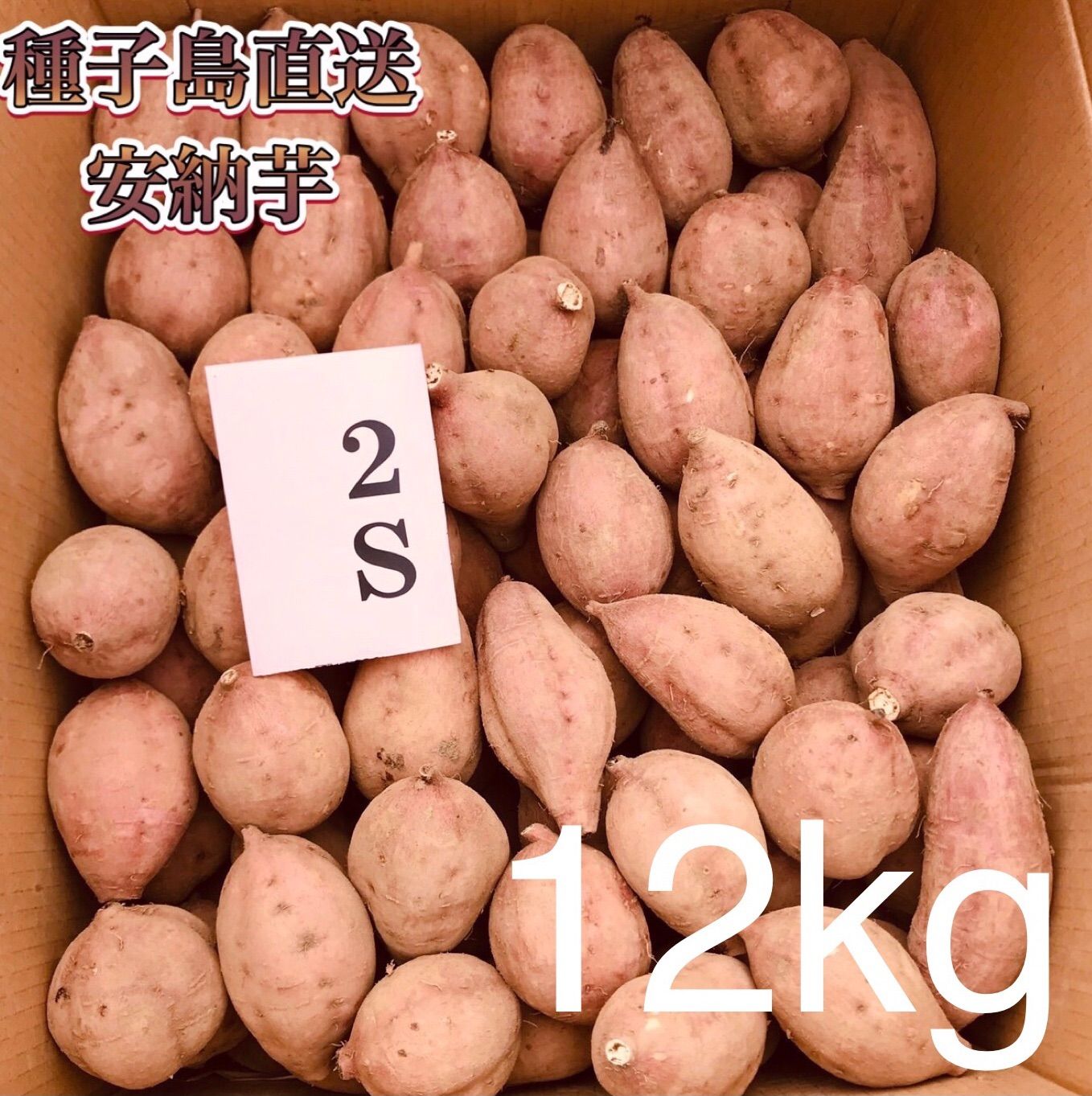 絶品】種子島産 安納芋S 24kg(箱別)-