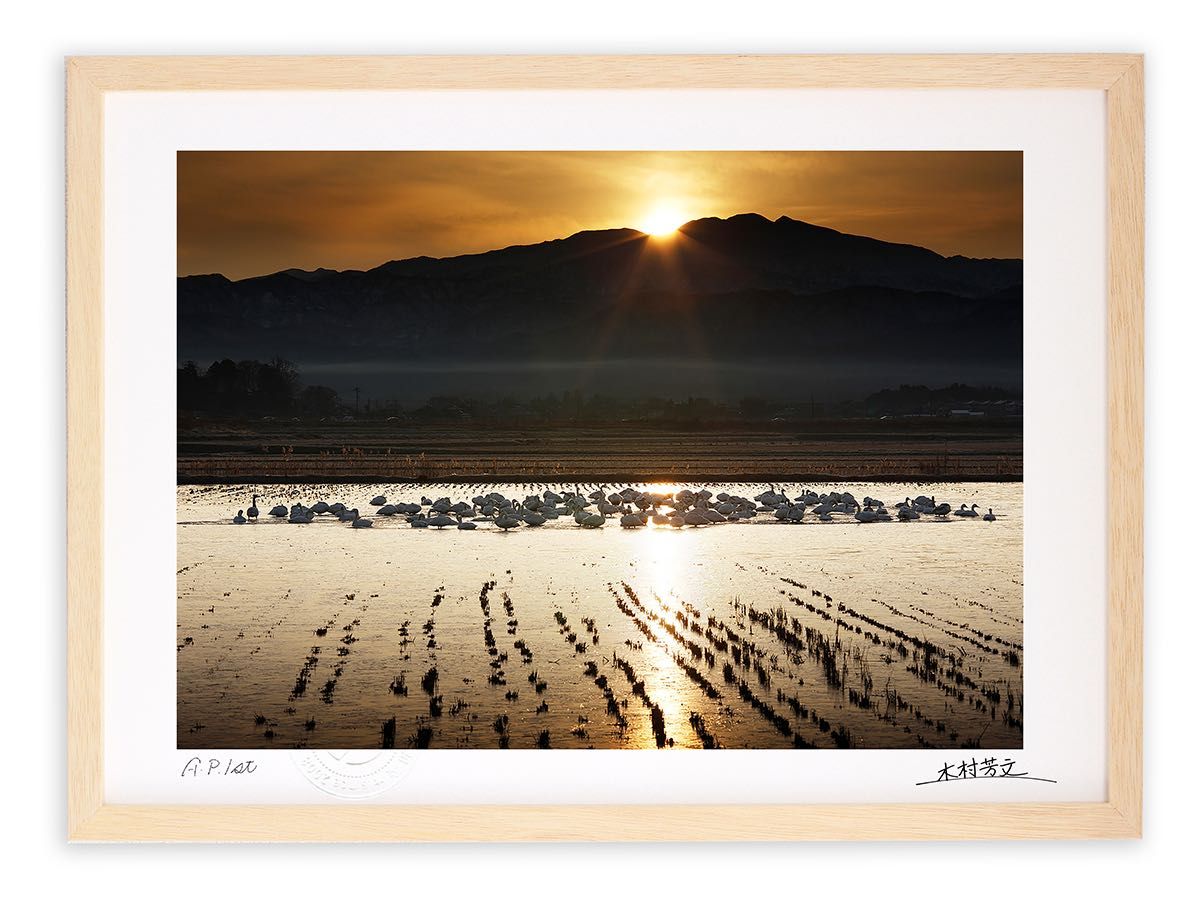 アートフォト 絵画 壁掛け 白山から昇る太陽と眠る白鳥/加賀市/インテリア 壁掛け 額入り 額装込 風景画 油絵 ポスター アート アートパネル リビング 玄関 プレゼント モダン アートフレーム おしゃれ 飾る Mサイズ