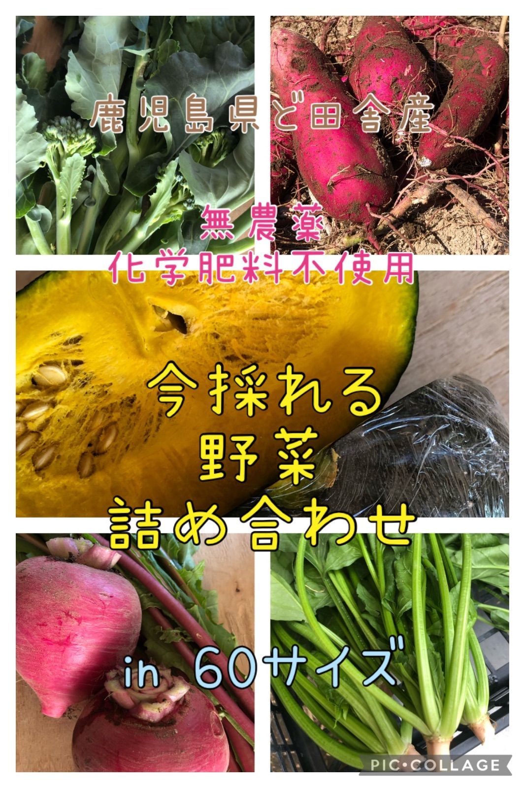 季節のお野菜詰め合わせ 無農薬 100サイズ editorial.unju.edu.ar