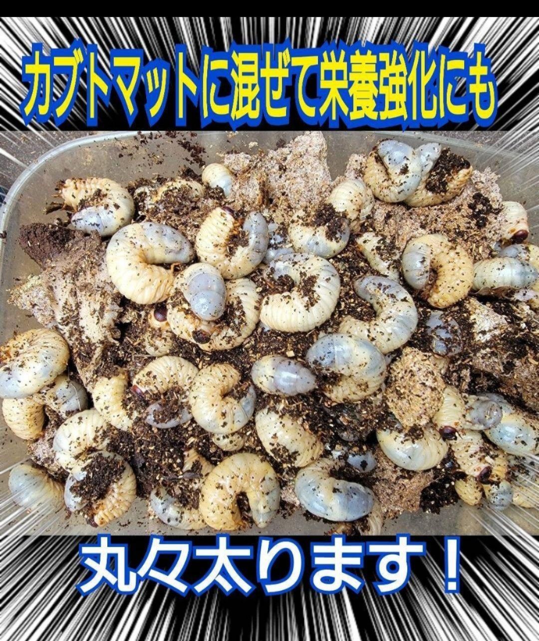 自然の良い香りする 保存にも便利なチャック付き袋