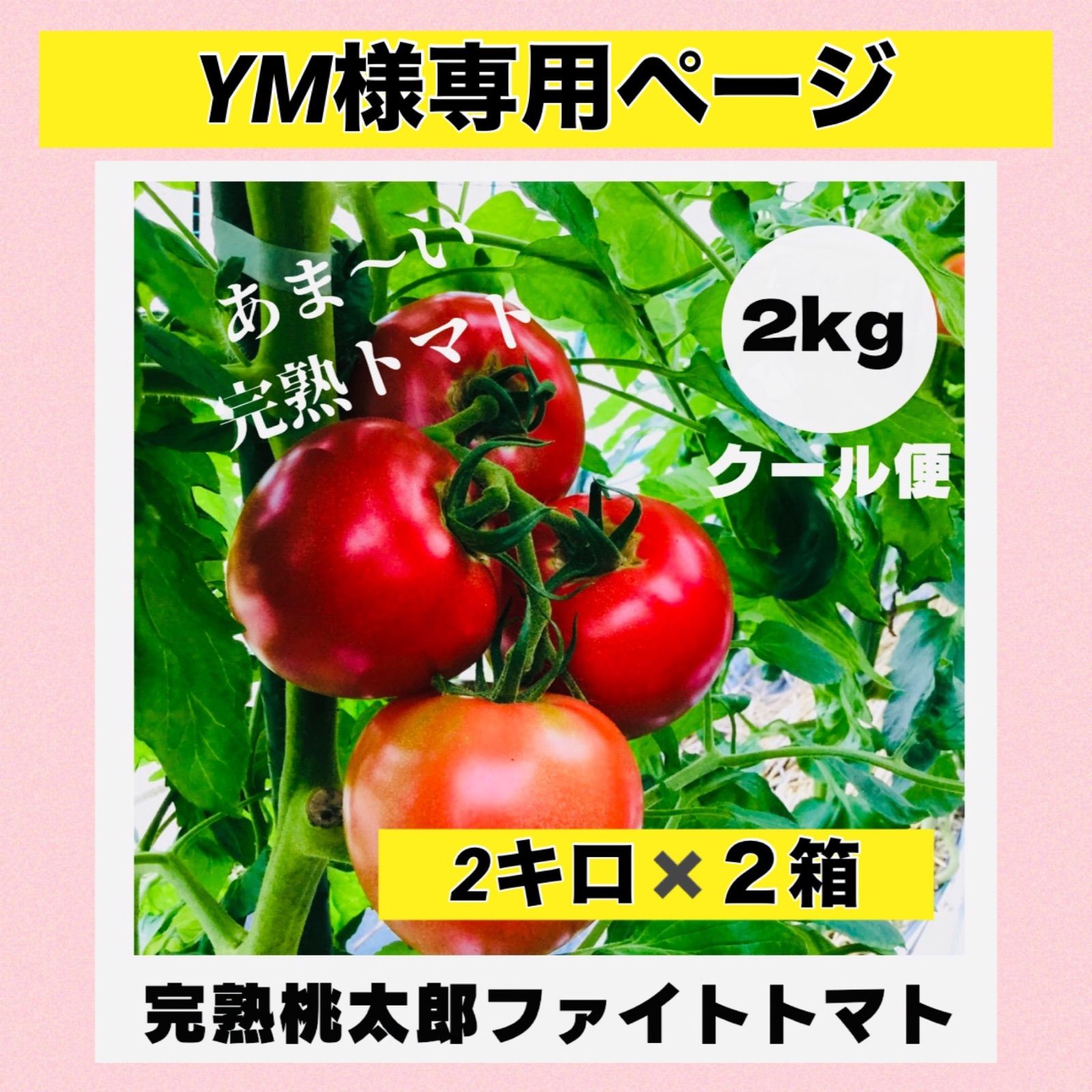 YM様専用ページ‼️桃太郎ファイト2キロ✖️2箱‼️ - メルカリ