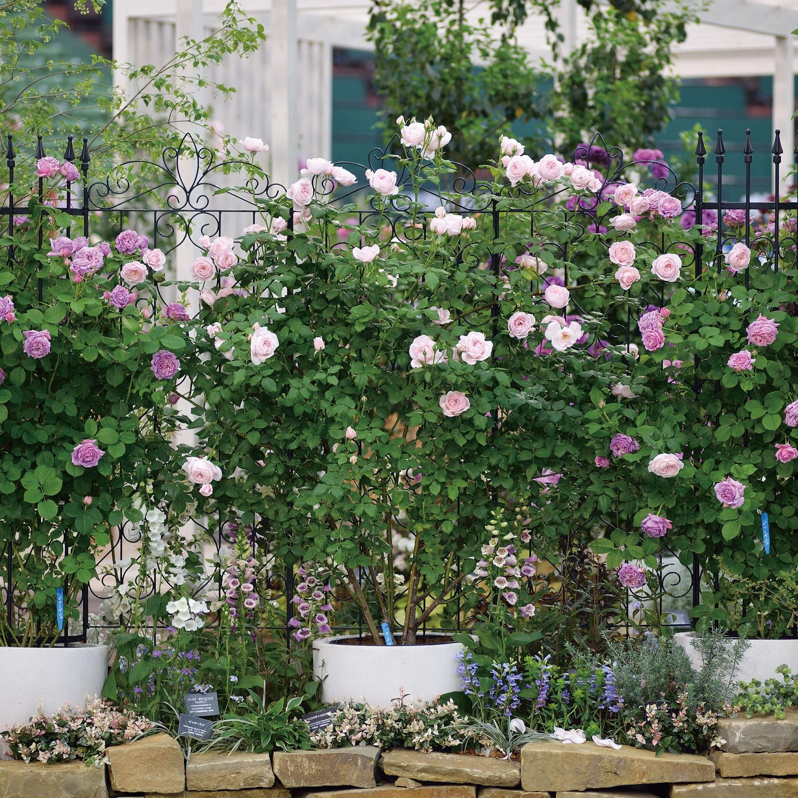 デザイントレリス