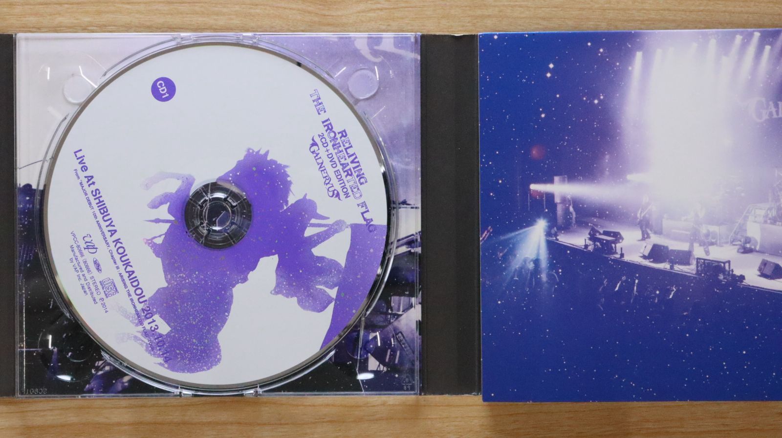 国内盤CD☆ガルネリウス/GALNERYUS□ RELIVING THE IRONHEARTED