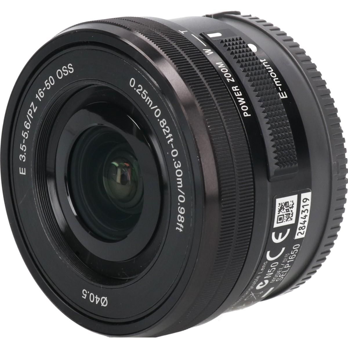 冨貴草」 小川立夫 金落款 共シール 京都巨匠 冨貴草」 小川立夫 金