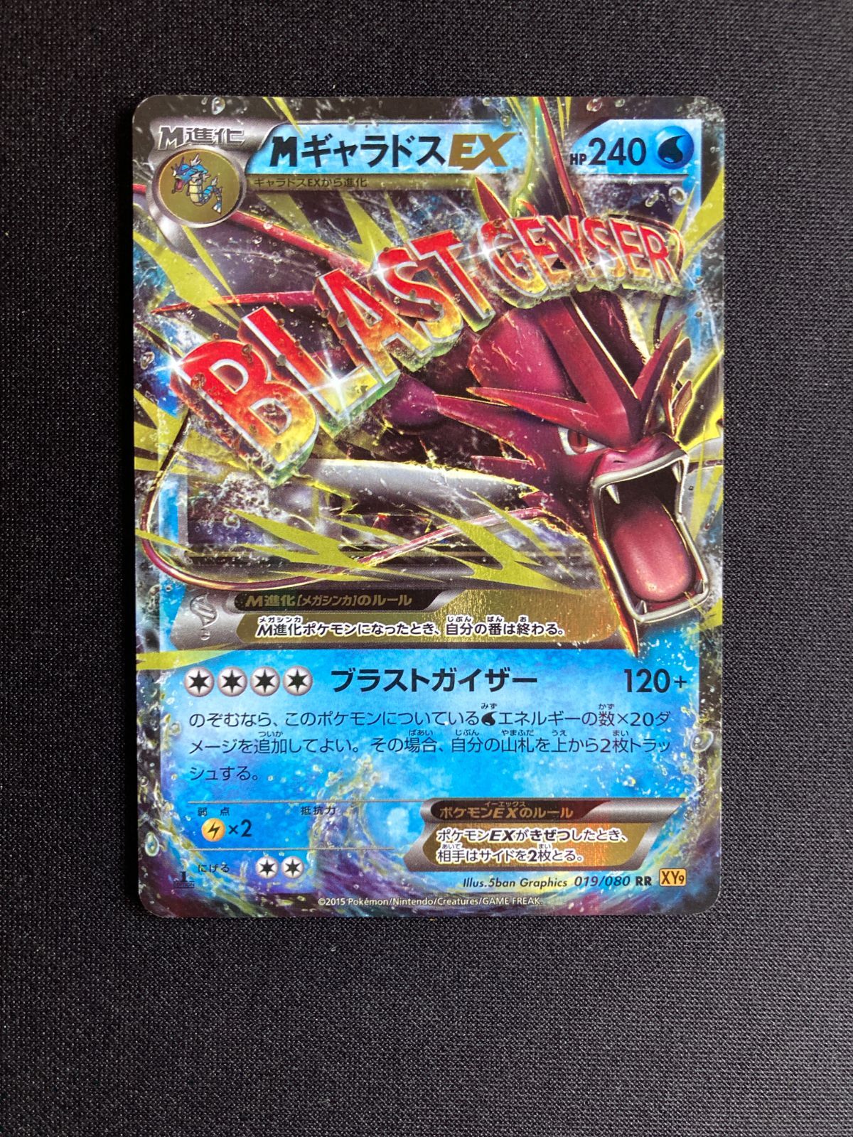ポケモンカード MギャラドスEX Mega Gyarados EX XY9 019/080 RR 