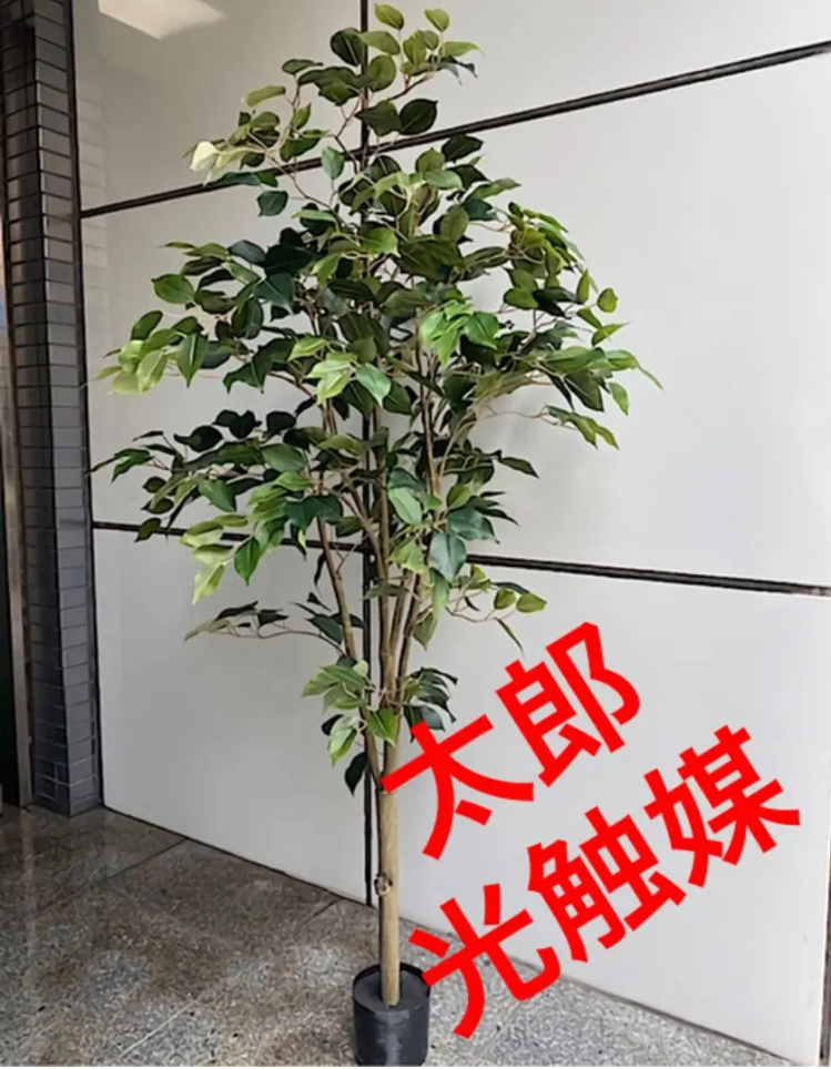 光触媒 人工観葉植物 ウォールグリーン フェイクグリーン ベンガルボ