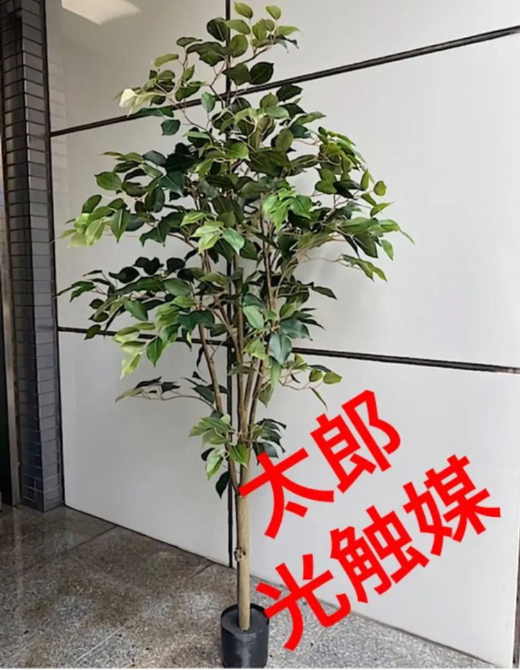 光触媒 人工観葉植物 ウォールグリーン フェイクグリーン 胡蝶蘭7850